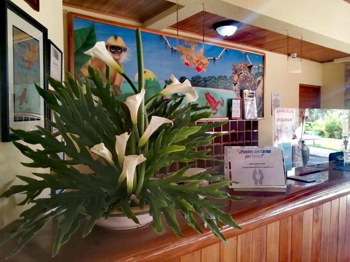 Hotel Amapola