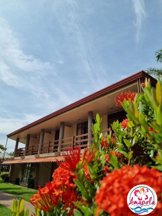 Hotel Amapola 4*